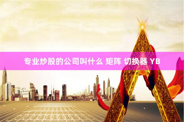 专业炒股的公司叫什么 矩阵 切换器 YB