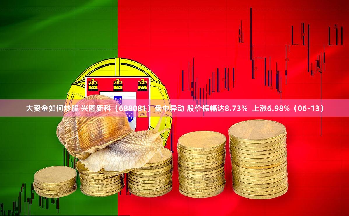 大资金如何炒股 兴图新科（688081）盘中异动 股价振幅达8.73%  上涨6.98%（06-13）